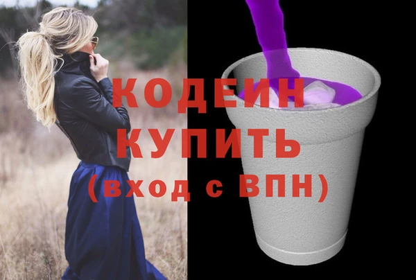 эйфоретик Вяземский