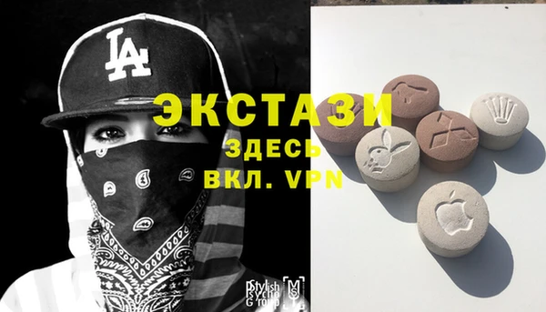 прущие грибы Вязьма