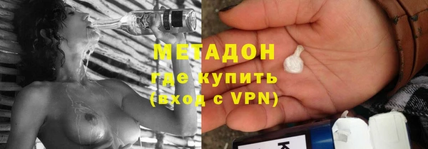 прущие грибы Вязьма