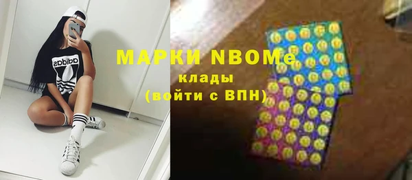 прущие грибы Вязьма