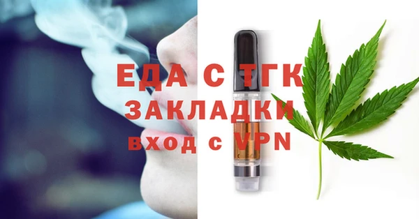 прущие грибы Вязьма