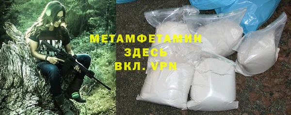 прущие грибы Вязьма