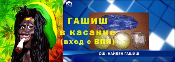 прущие грибы Вязьма
